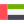 UAE flag